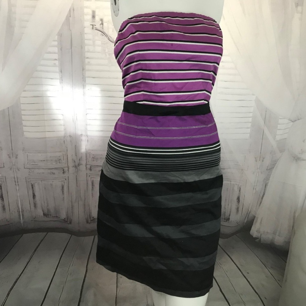 The Limited Vibrant Purple and Black Dress